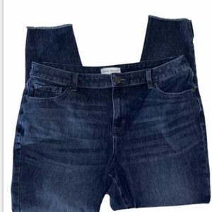 Lane Bryant Flex Magic Plus 16 Stretch High Rise